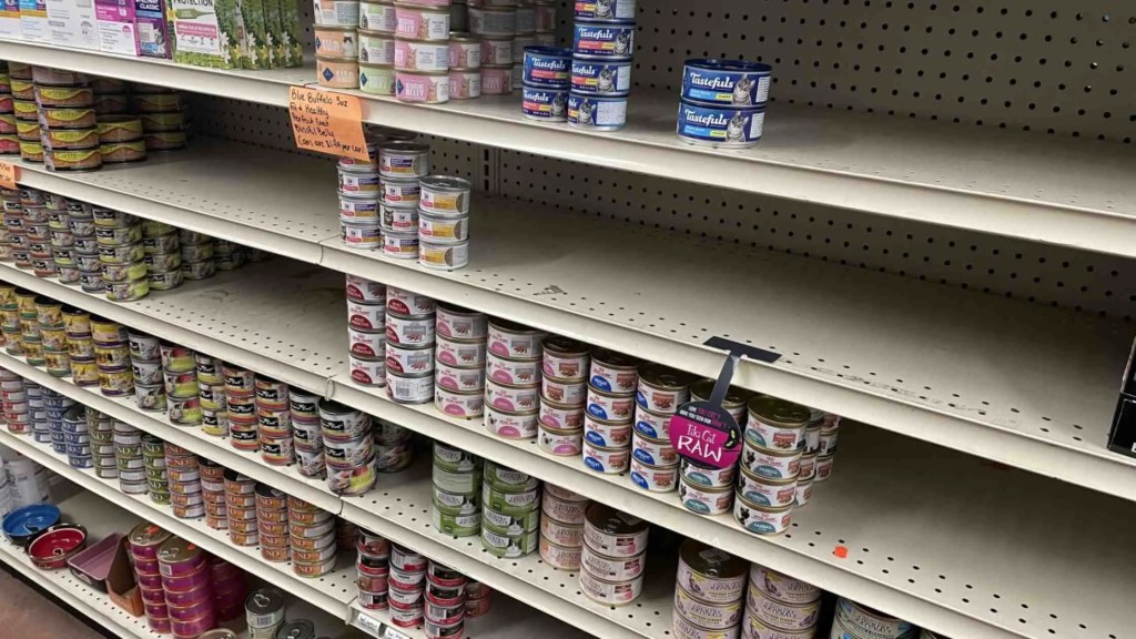 Picture of: All you need to know about Purina Cat Food Shortage in