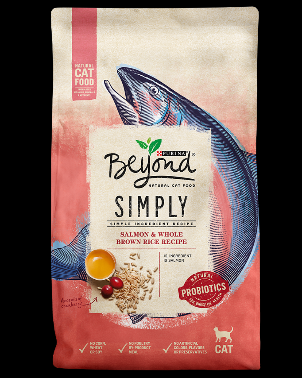 Picture of: Beyond Salmon And Rice Natural Dry Cat Food  Purina