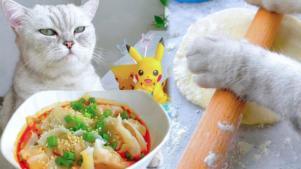 Picture of: Cat Cooking Food ASMR  Meat Dumplings in Spicy Sauce  Chinese Food  Recipes
