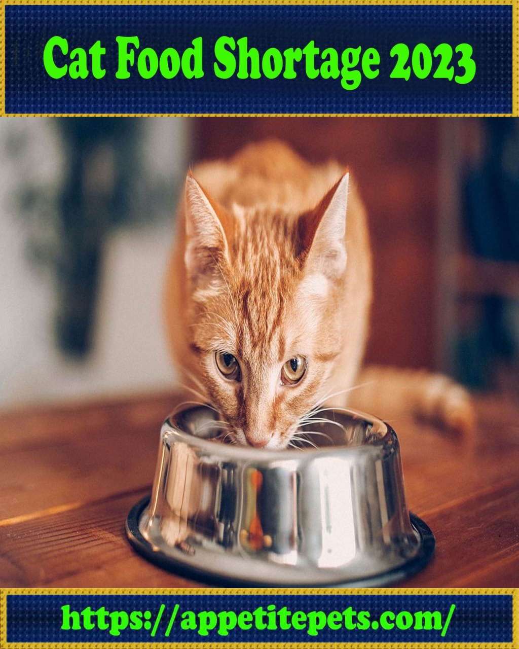 Picture of: Cat Food Shortage  In America And Europe – Appetite Pets