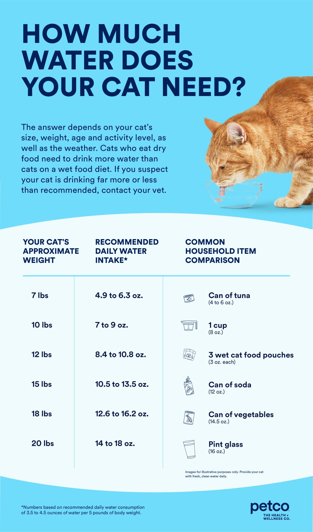 Picture of: Cat Water Guide  Petco