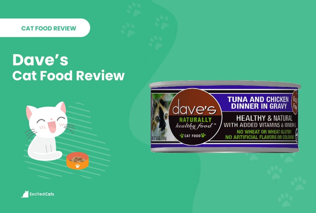 Picture of: Dave’s Cat Food Review of : Recalls, Pros & Cons – Excited Cats