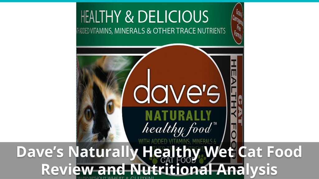 Picture of: Dave’s Pet Food Naturally Healthy Cat Food (Wet) Review And Analysis
