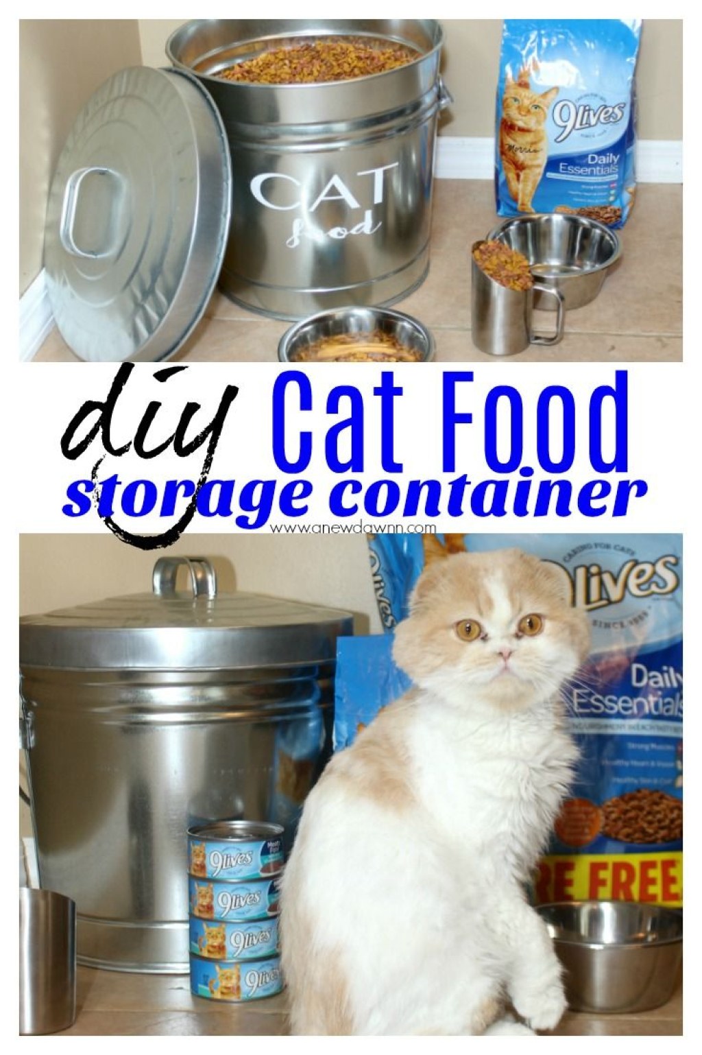 Picture of: DIY Cat Food Storage Container – A New Dawnn  Cat food storage