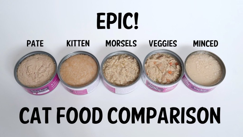Picture of: EPIC Wet Cat Food COMPARISON! Pate – Minced – Morsels – Kitten – Veggie –  Whole Hearted Cat Food
