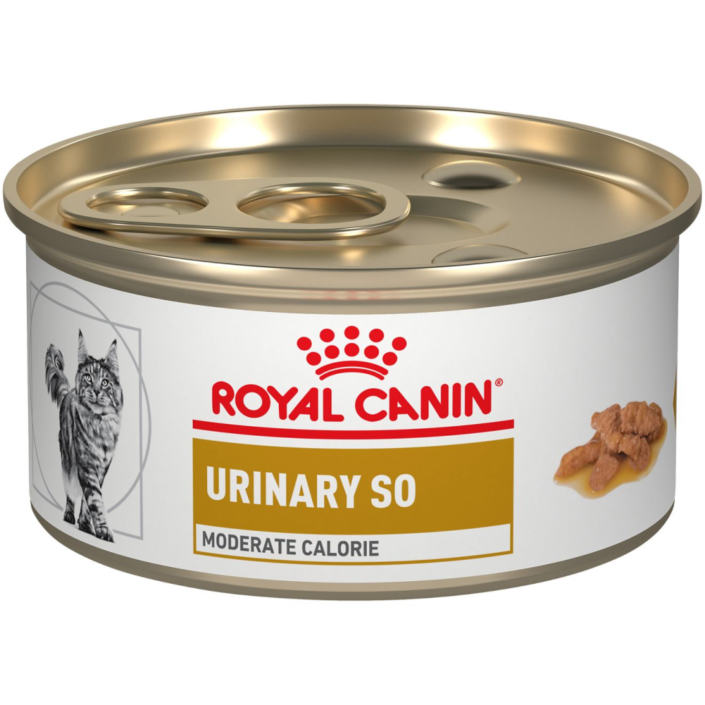 Picture of: Feline Urinary SO® Moderate Calorie morsels in gravy  Royal Canin US