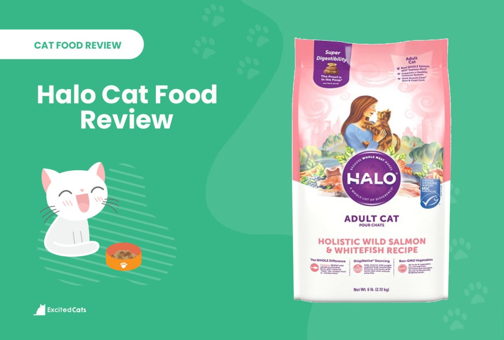 Picture of: Halo Cat Food Review of : Recalls, Pros & Cons – Excited Cats