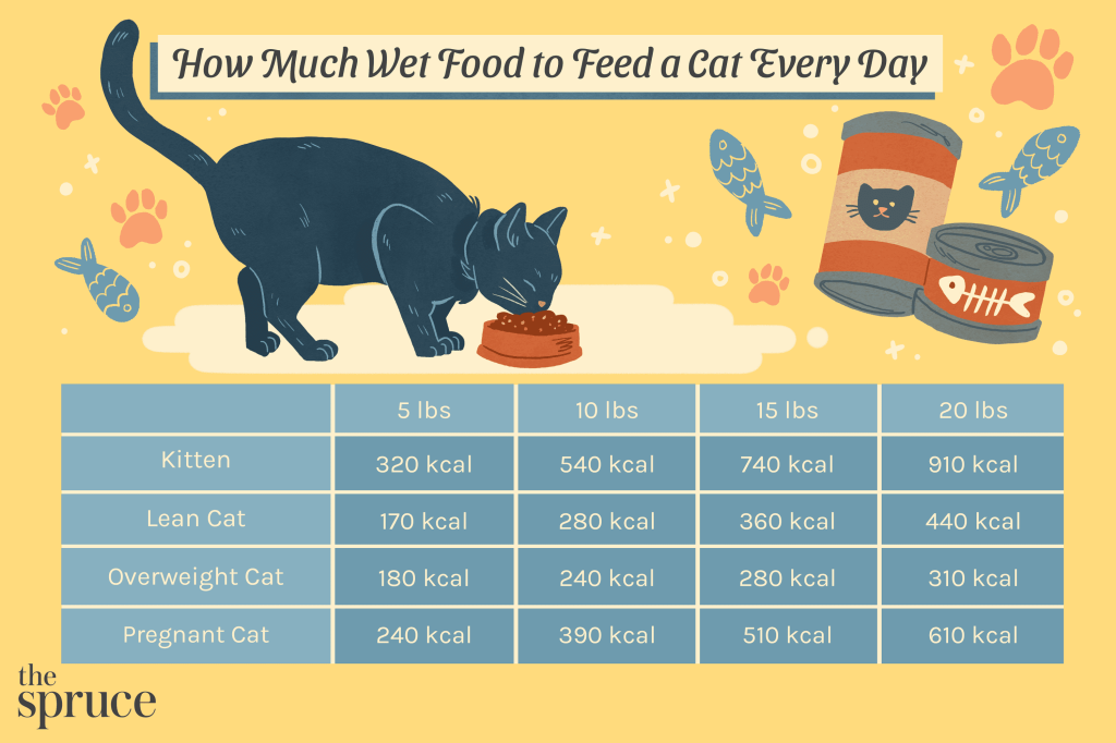 Picture of: How Much Wet Food to Feed a Cat Every Day
