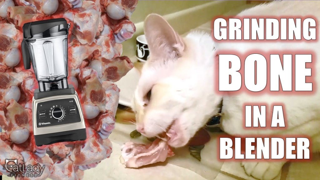 Picture of: How to GRIND BONES at home (for homemade raw cat food!) – Cat Lady Fitness