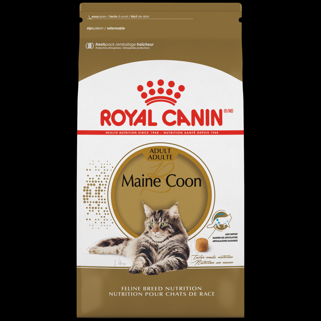 Picture of: Maine Coon Adult Dry Cat Food  Royal Canin US