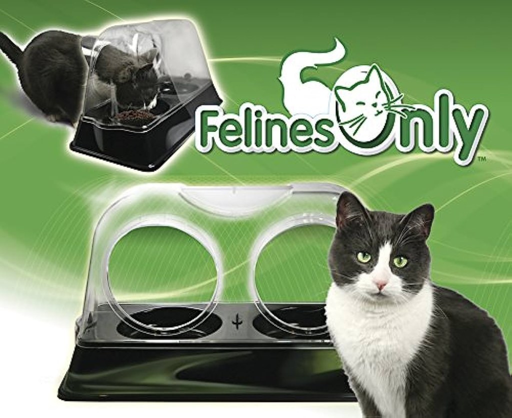 Picture of: Products That Work LLC Cats Only – The Purrfect, Cat, Food Bowl That Keeps  Dogs – Vet Designed Cat From The Cat Food