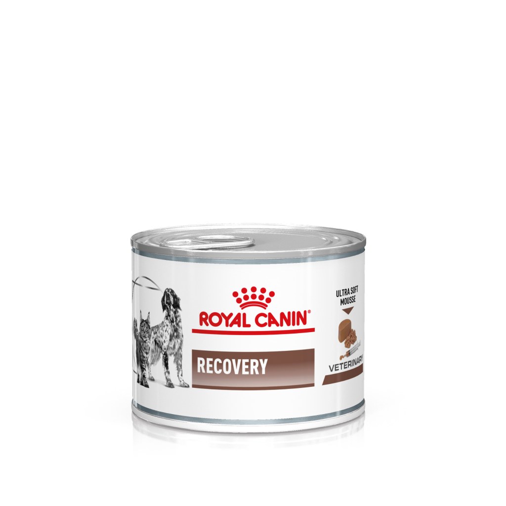 Picture of: Royal Canin Recovery Nassfutter