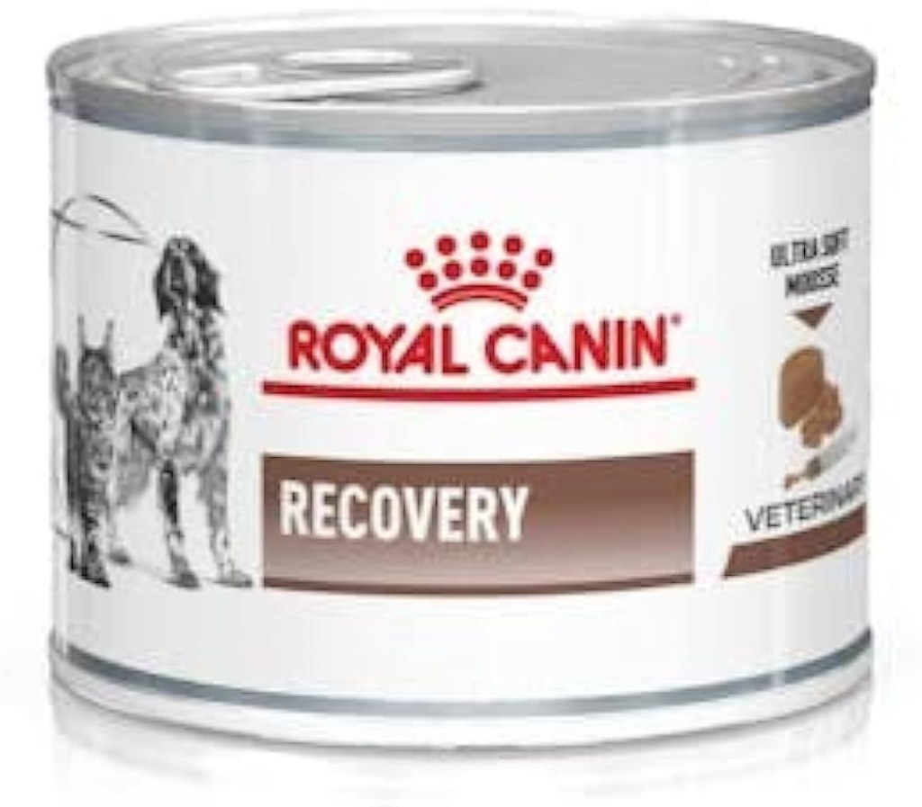 Picture of: Royal Canin Veterinary Recovery   x  g  Diät-Alleinfuttermittel für  ausgewachsene Hunde und ausgewachsene Katzen  Ultra Soft Mousse mit einem