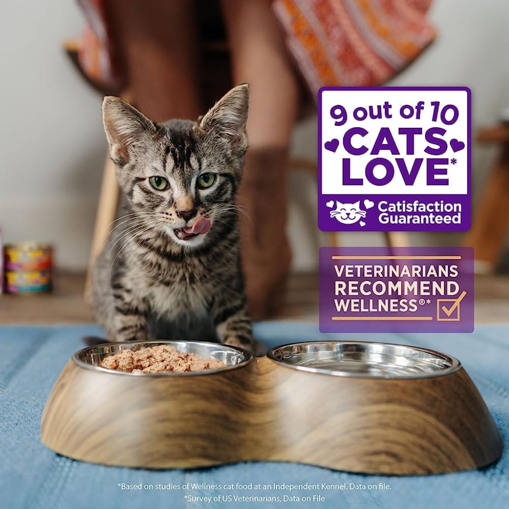 Picture of: Wellness Core Signature Selects Grain Free Cat Food – Shredded